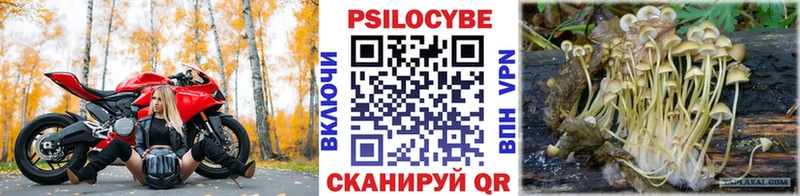 Псилоцибиновые грибы GOLDEN TEACHER  mega маркетплейс  Курчалой 